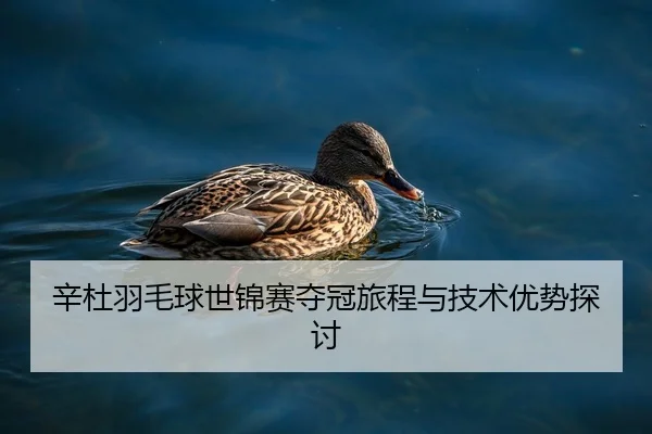 辛杜羽毛球世锦赛夺冠旅程与技术优势探讨